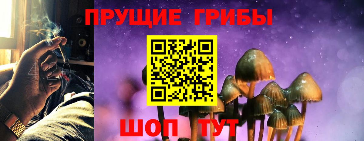 Псилоцибиновые грибы Cubensis  Вход с VPN  Гагарин  Псилоцибиновые грибы Cubensis 
